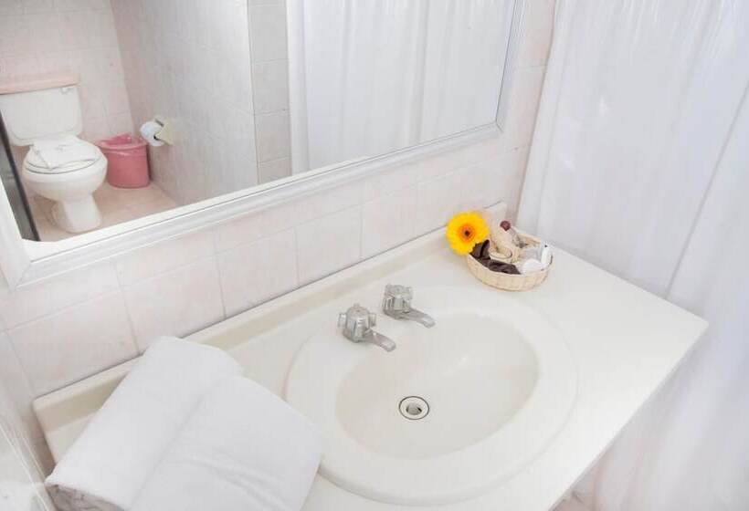 Fotos del hotel El Cid Merida:  8