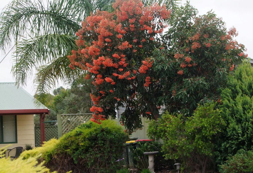 Hôtel Ficifolia Lodge