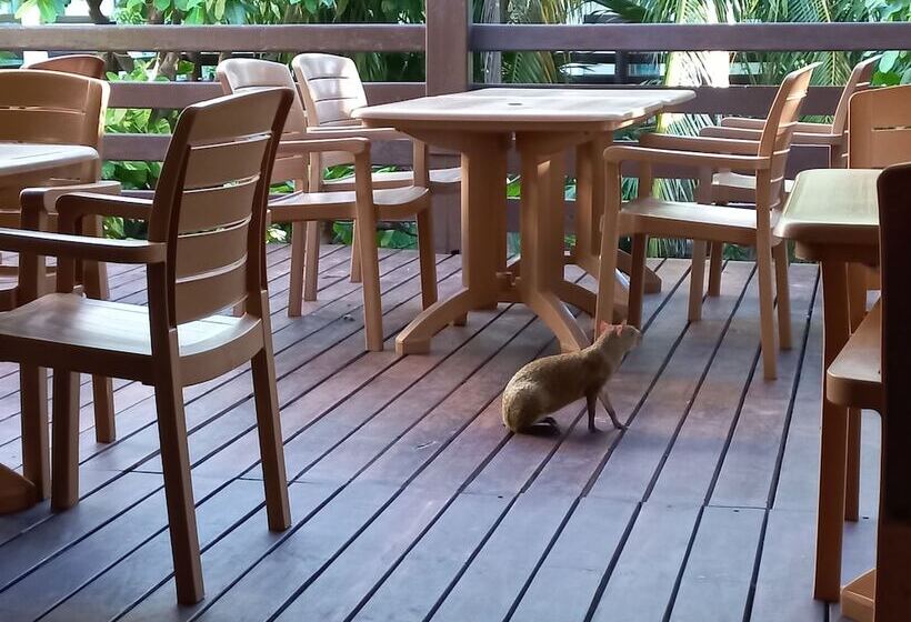 Fotos del hotel Posada Sian Kaan:  9