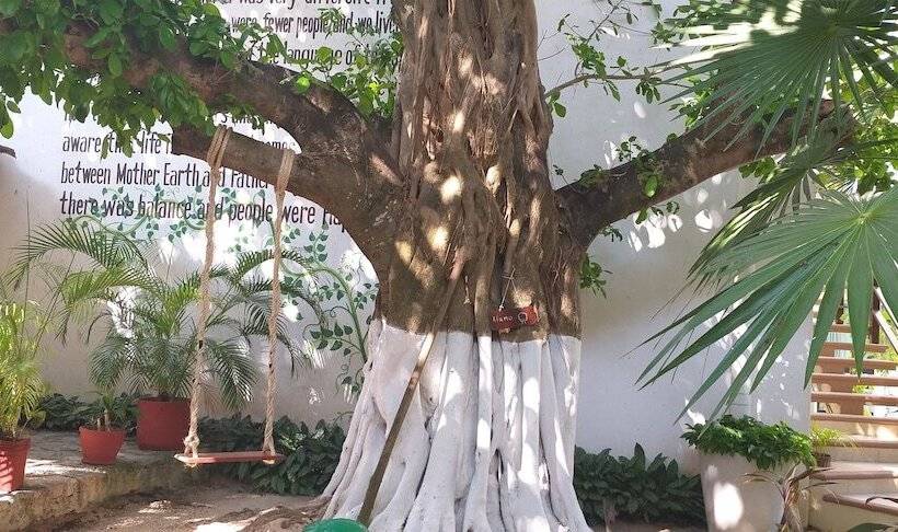 Fotos del hotel Posada Sian Kaan:  12