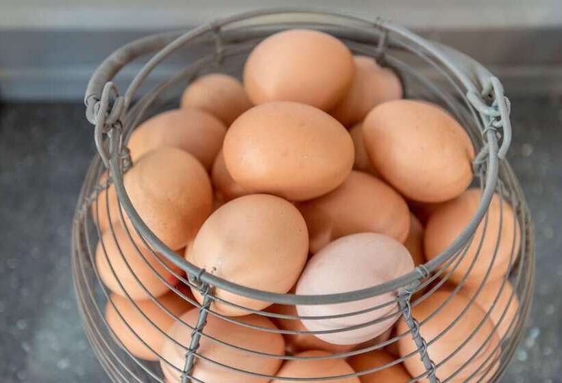 Fotos del hotel Queens Drive Hotel At Finsbury Park:  6