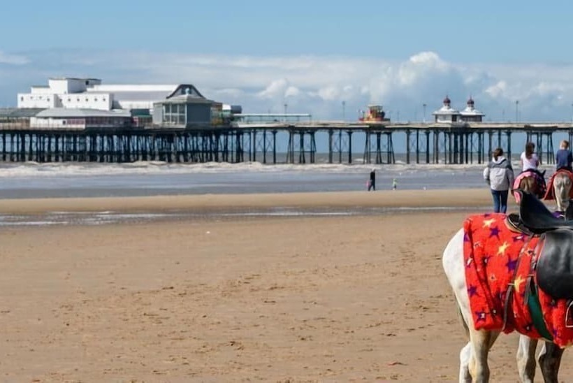 Fotos del hotel Sussex:  6