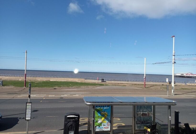 Fotos del hotel Vinnie S Family:  40