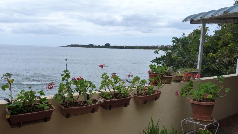 Le Cactus Guest House