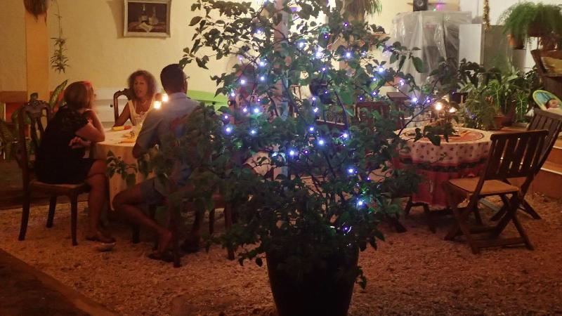 Le Cactus Guest House