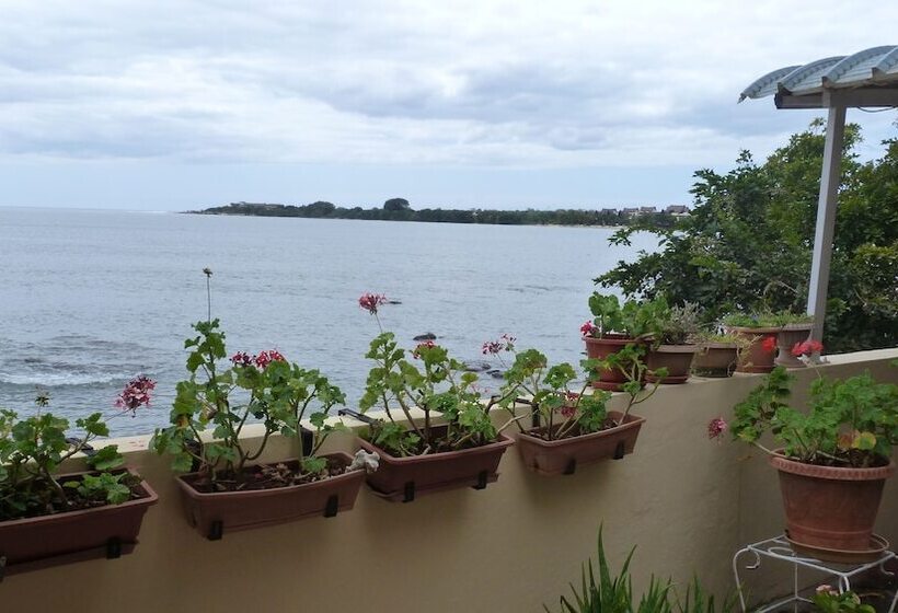 Le Cactus Guest House