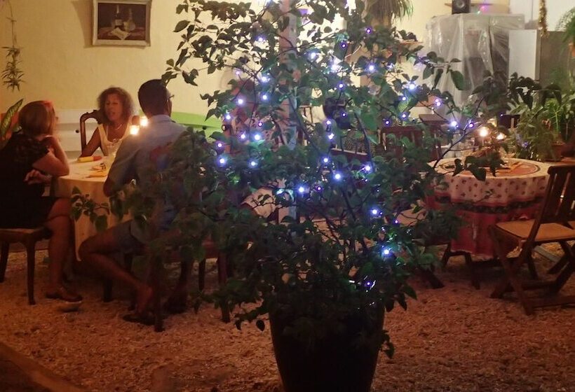 Le Cactus Guest House