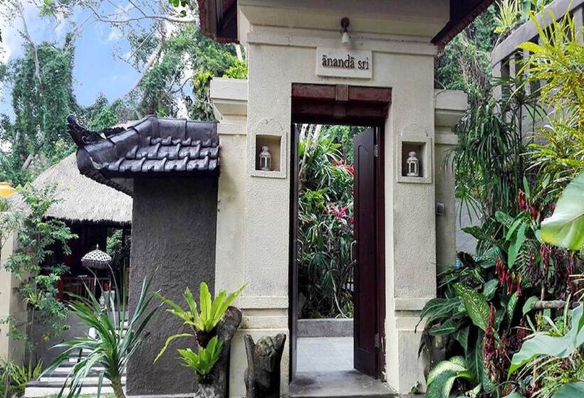 Villa Nirvana
