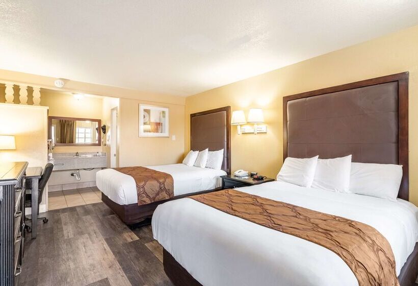 هتل Americas Best Value Inn & Suites Flagstaff
