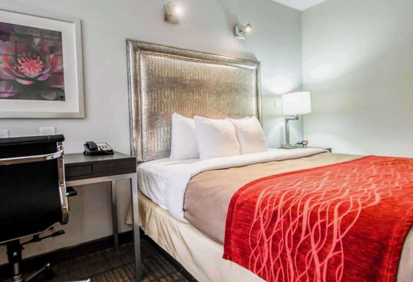 Fotos del hotel Comfort Inn Manhattan  Midtown West:  20