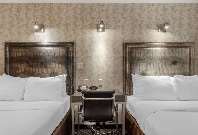 Fotos del hotel Comfort Inn Manhattan  Midtown West:  21