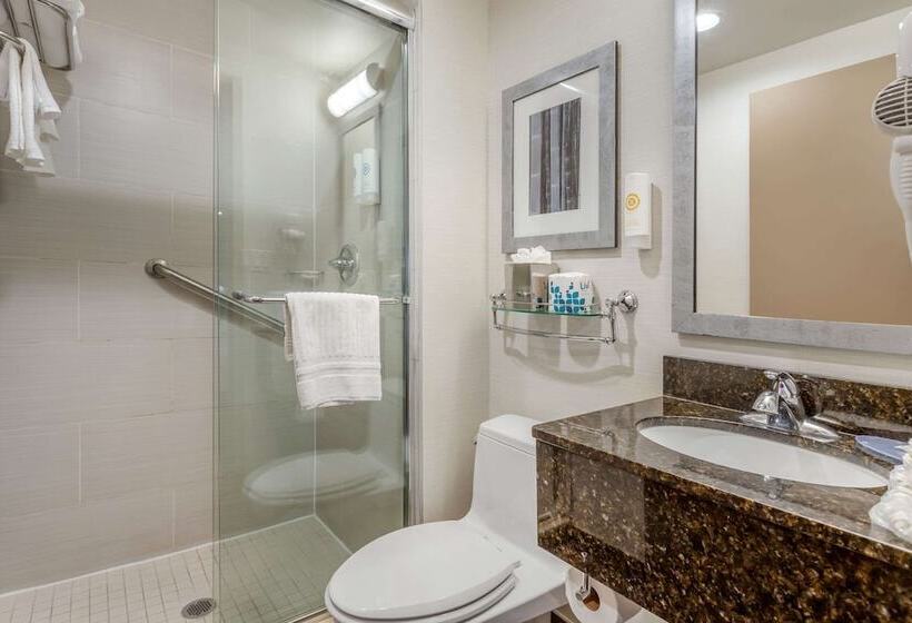 Fotos del hotel Comfort Inn Manhattan  Midtown West:  41