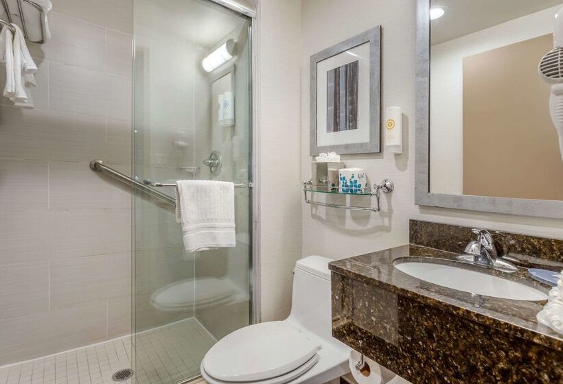 Fotos del hotel Comfort Inn Manhattan  Midtown West:  37