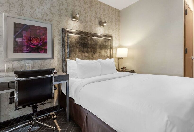 Fotos del hotel Comfort Inn Manhattan  Midtown West:  23