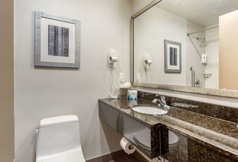 Fotos del hotel Comfort Inn Manhattan  Midtown West:  39