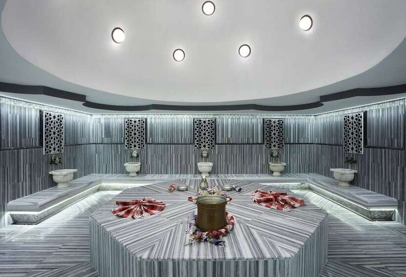 Fotos del hotel Istanbul Gonen:  33