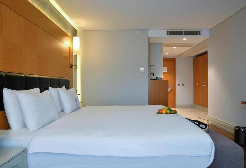 Fotos del hotel Istanbul Gonen:  3