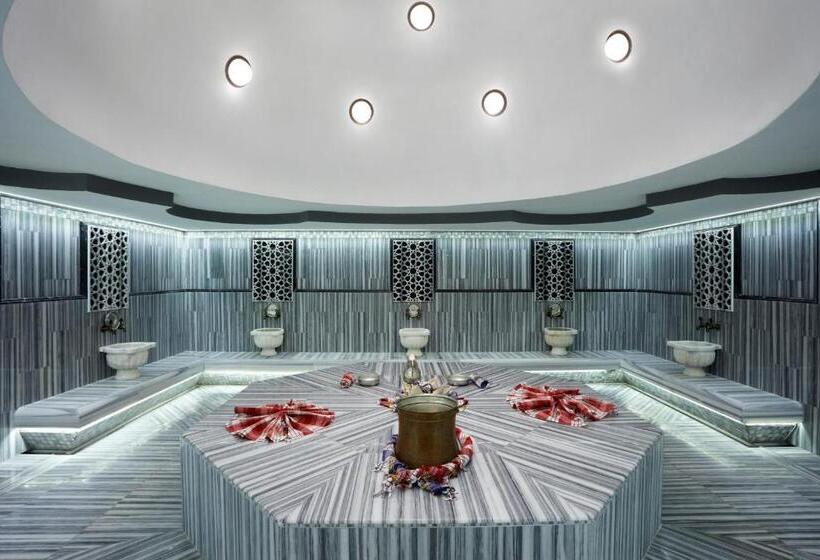 Fotos del hotel Istanbul Gonen:  29