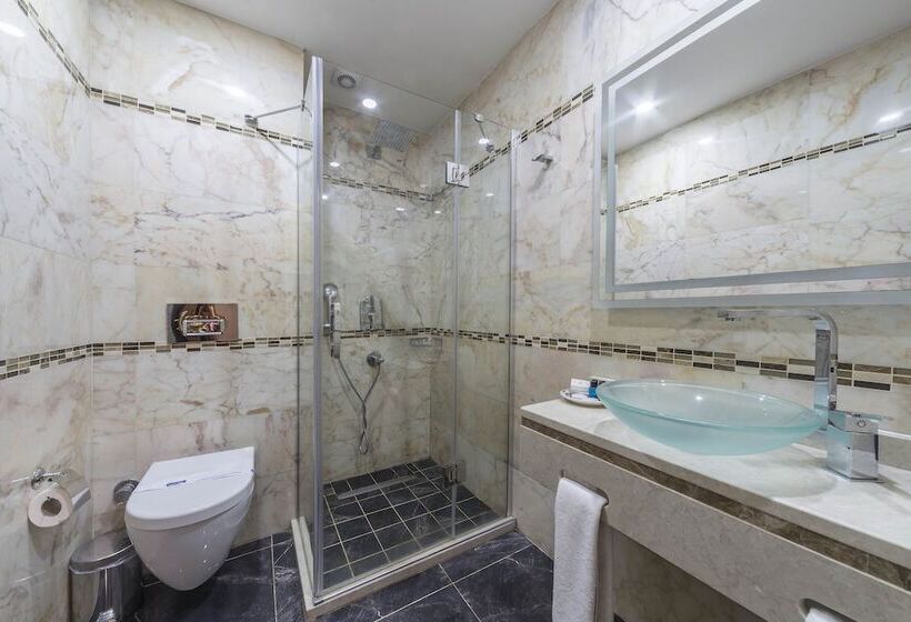 Fotos del hotel Lalinn:  22