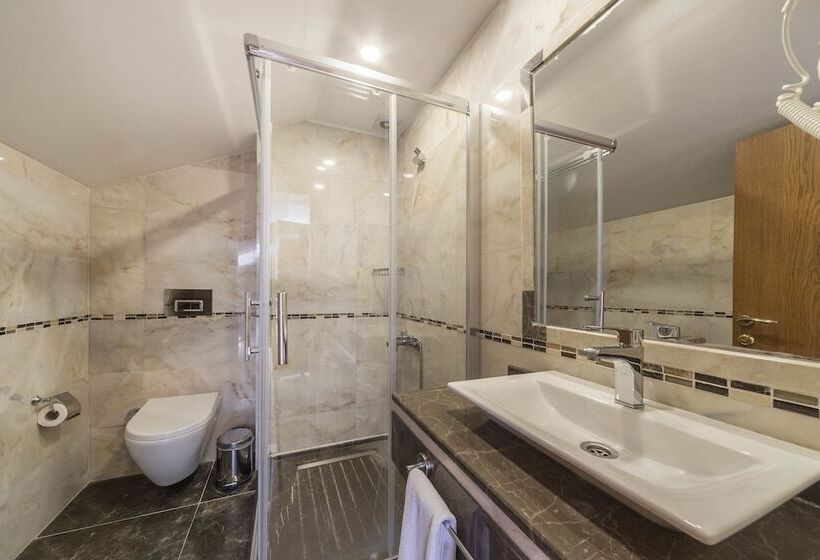 Fotos del hotel Lalinn:  21