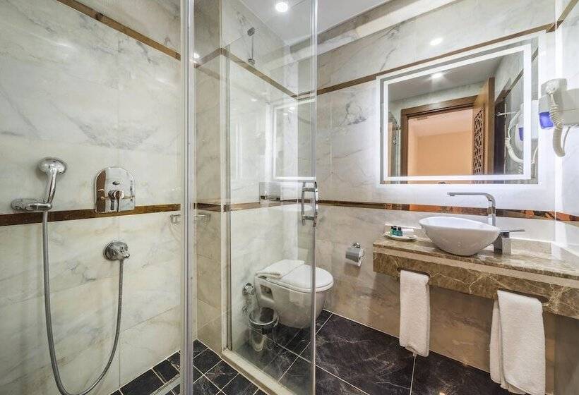 Fotos del hotel Lalinn:  29