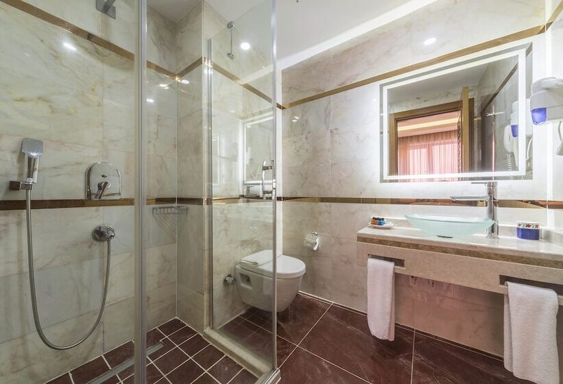 Fotos del hotel Lalinn:  48