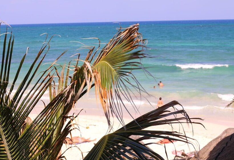 Fotos del hotel Punta Piedra Beach Posada:  31