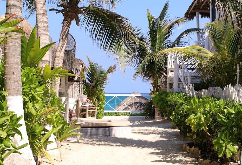 Fotos del hotel Punta Piedra Beach Posada:  29