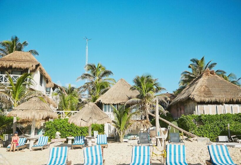 Fotos del hotel Punta Piedra Beach Posada:  13