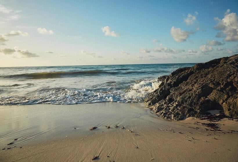 Fotos del hotel Punta Piedra Beach Posada:  21