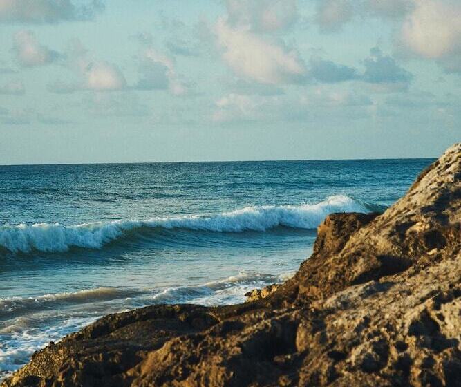 Fotos del hotel Punta Piedra Beach Posada:  26