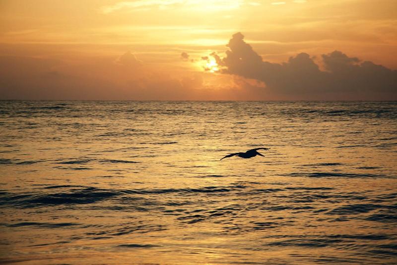 Fotos del hotel Punta Piedra Beach Posada:  35