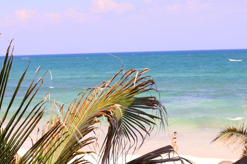 Fotos del hotel Punta Piedra Beach Posada:  55