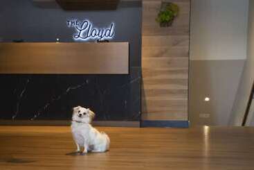 هتل The Lloyd Stamford, Tapestry Collection By Hilton