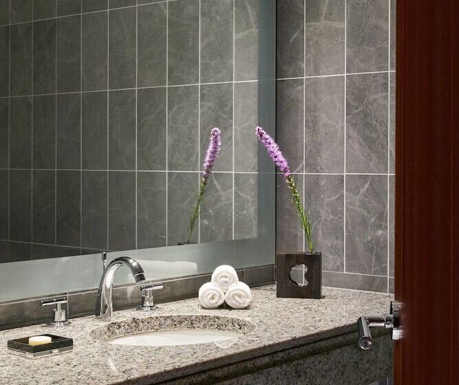 ホテル The Ritzcarlton, Charlotte