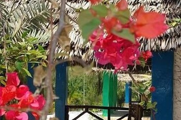 هتل Twisted Palms Lodge & Restaurant