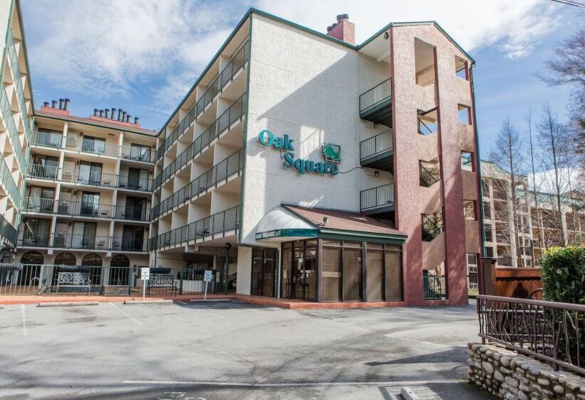 Oak Square 309