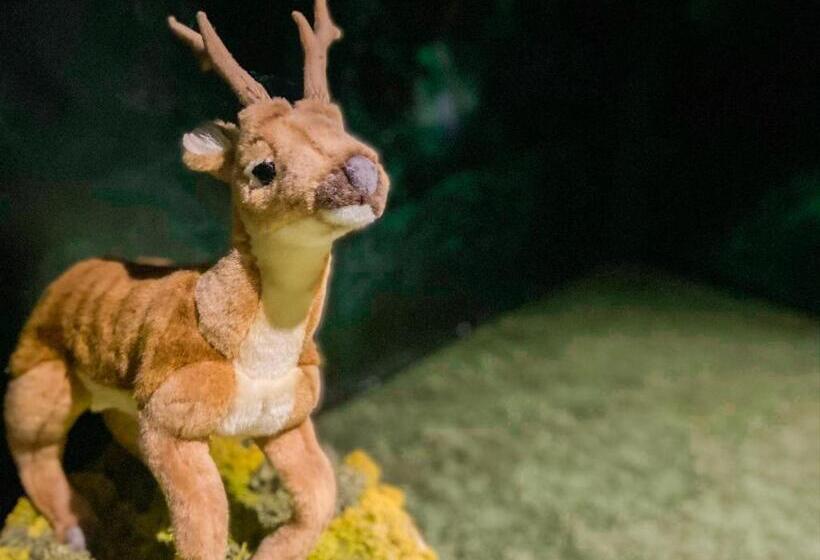 Fotos del hotel Shibuya  En:  35