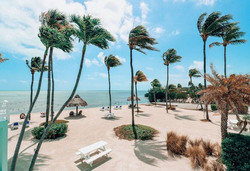 Drop Anchor Resort & Marina