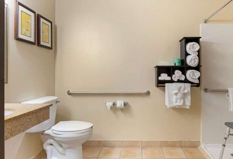 בית מלון כפרי Comfort Suites Southfield Detroit