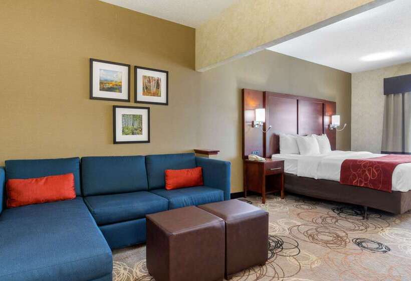 בית מלון כפרי Comfort Suites Southfield Detroit