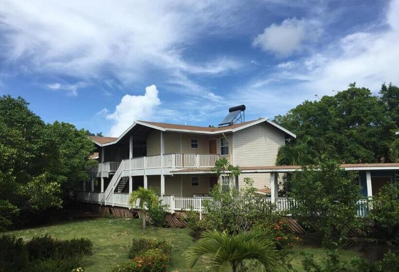 Fotos del hotel Henry Morgan All Inclusive:  44