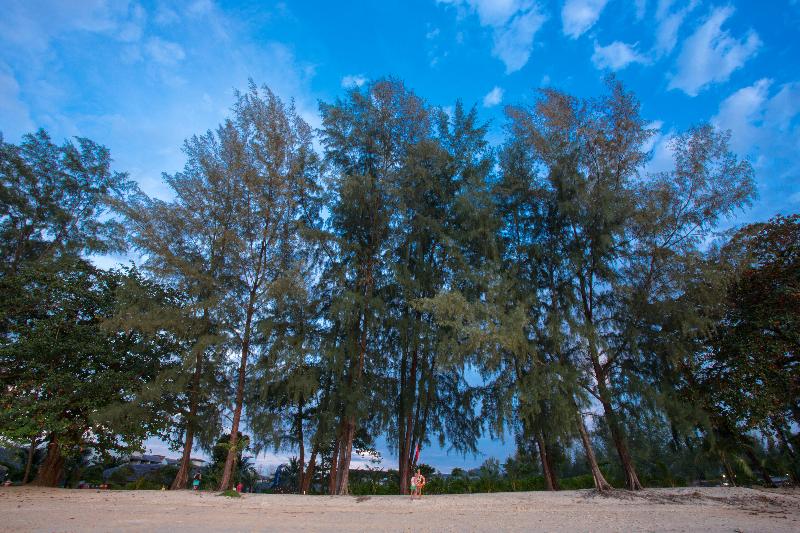 هتل Mai Khaolak Beach Resort & Spa   Tuiblue Mai Khaolak