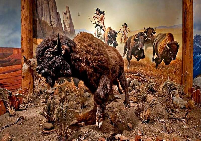 فندق De Novo Springdale, Tapestry Collection By Hilton