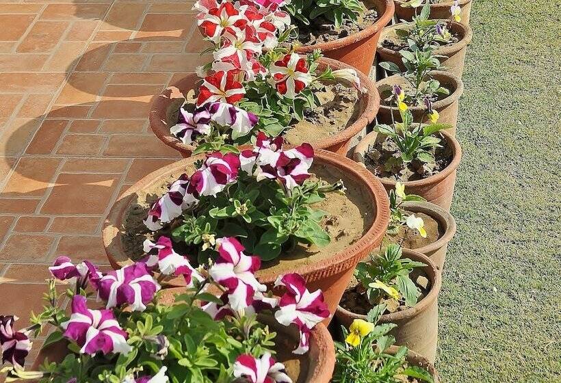 Fotos del hotel Om Niwas Suite:  3