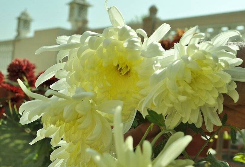 Fotos del hotel Om Niwas Suite:  6