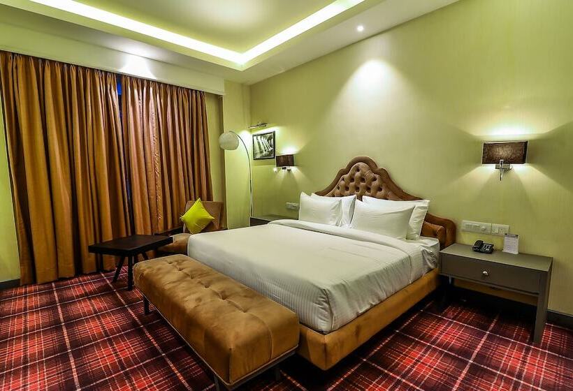 فندق Piccadily Raipur