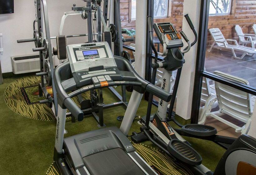 酒店 Quality Inn & Suites Loves Park Near Rockford