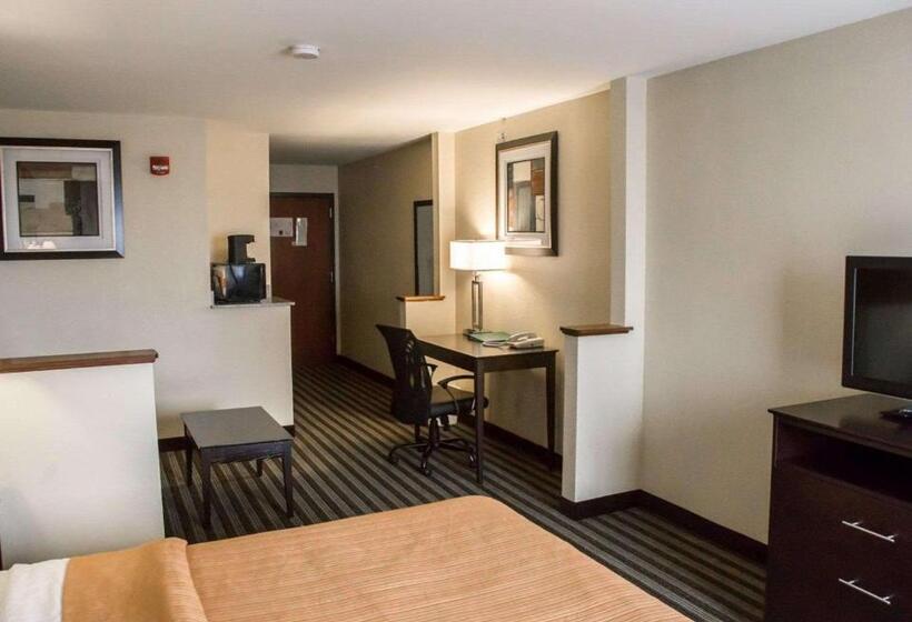 酒店 Quality Inn & Suites Loves Park Near Rockford