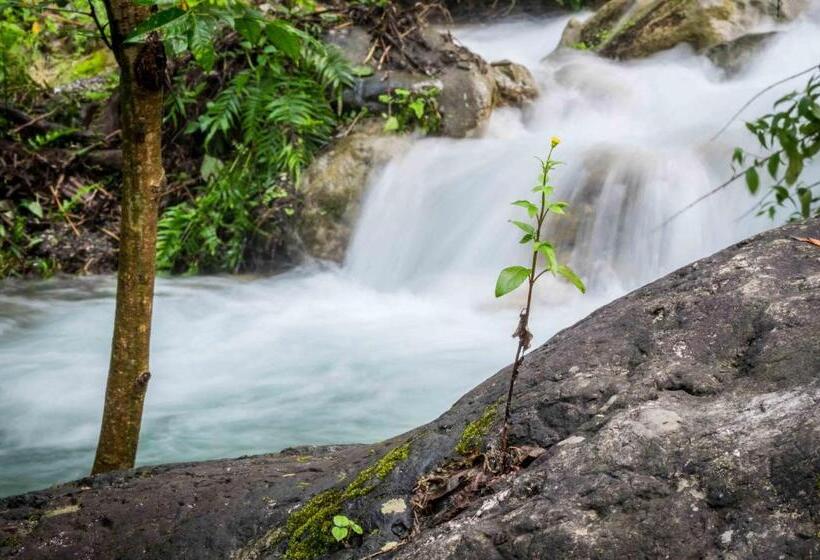 هتل Rishikesh Valley